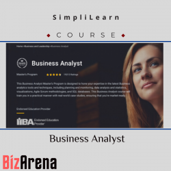 Digital Analytics at BizArena