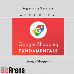 AgencySavvy – Google Shopping