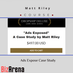 PimpMyMoney at BizArena