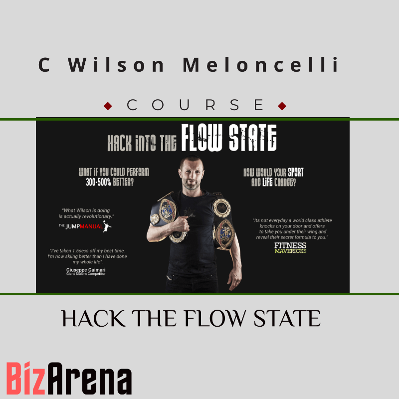 C Wilson Meloncelli - HACK THE FLOW STATE