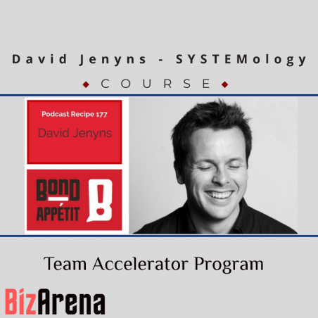 an image of David Jenyns – SYSTEMology -Team Accelerator Program 