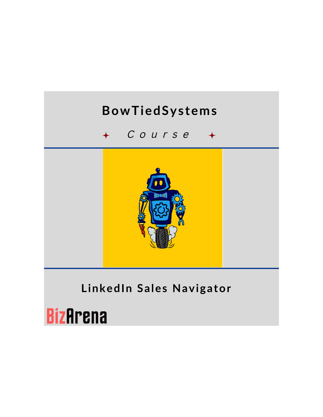 BowTiedSystems LinkedIn Sales Navigator