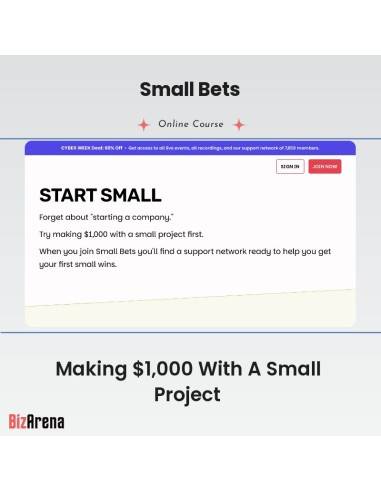 Small Bets - Making $1,000 With A Small Project Image
