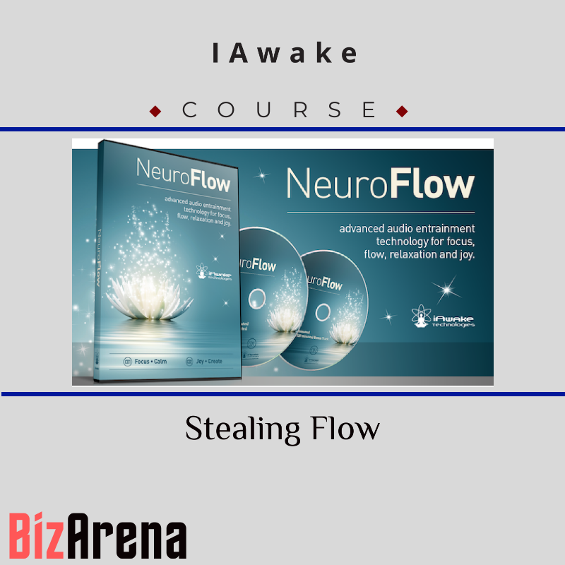 IAwake -Stealing Flow