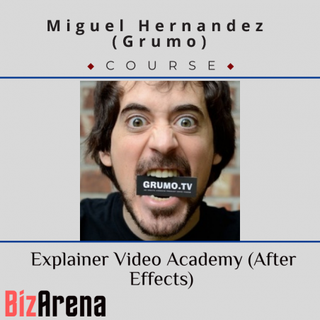 an image of Miguel Hernandez (grumo) - Explainer Video Academy (After Effects) 